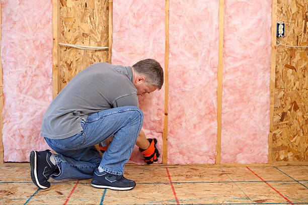 Types of Insulation We Offer in River Forest, IL